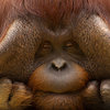 Avatar of Wubifi