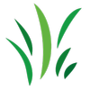 Avatar of artgrass