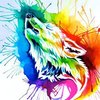 Avatar of Rainbow_wolf1