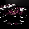 Avatar of lmchun