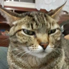 Avatar of MaryMoc