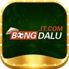 Avatar of bongdalu