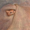 Avatar of softw297