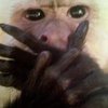 Avatar of monkey104