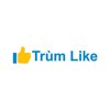 Avatar of Trùm Like