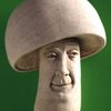 Avatar of Mrmushroom