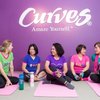 Avatar of gymcurves