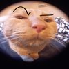 Avatar of dominic_sanchez