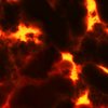 Avatar of iondragonfire