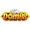 Avatar of dom88miami