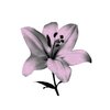Avatar of Ehyla's3D