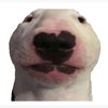 Avatar of Moshi.Sakuranbo