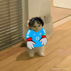 Avatar of samuelart2113