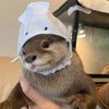 Avatar of reynrknz
