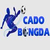 Avatar of Cá Cược Bóng Đá