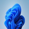 Avatar of eduardovazvieira10