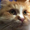 Avatar of phobos9349