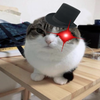 Avatar of tgbyg