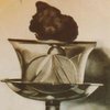 Avatar of bargin_bill_bradly