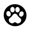 Avatar of Xingmingv