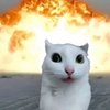 Avatar of Pitikijo