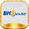 Avatar of bk8vnltd