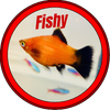 Avatar of fishcute