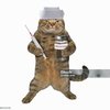 Avatar of MeoMeowMe