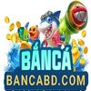 Avatar of Bắn Cá