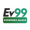 Avatar of ev99mobiblack