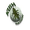Avatar of 2hournetwork