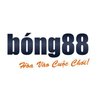 Avatar of bong88wiki