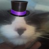 Avatar of apataanderson