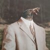 Avatar of Agnli fish