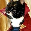 Avatar of JoseMCM