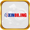 Avatar of xin88ing