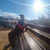 Avatar of Marcos.Mt.Basurto.R