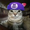 Avatar of WryTutin