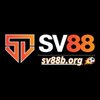 Avatar of SV88