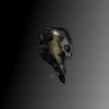 Avatar of MrMoo1