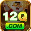 Avatar of 12q bet