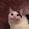 Avatar of Spooce