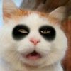 Avatar of dennie18