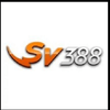 Avatar of sv388space
