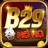 Avatar of B29