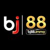 Avatar of Bj88