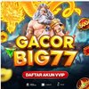 Avatar of Big77