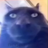 Avatar of hamzag2534
