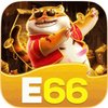 Avatar of e66 bet