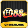 Avatar of QH88laborg